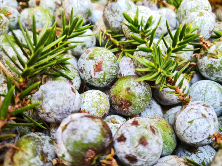 Günde 5 tane yapıp evini geçindiriyor: Tek derdi çırak bulamamak! Ağaç dallarından ürettiğine şaşıracaksınız - 5. Resim