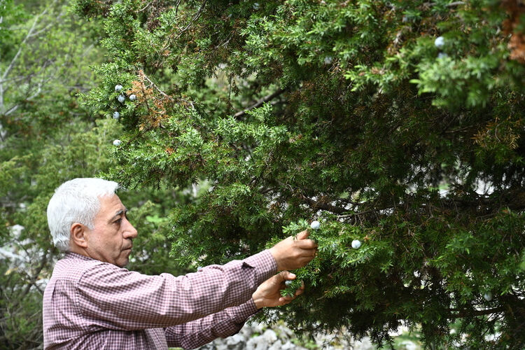 Günde 5 tane yapıp evini geçindiriyor: Tek derdi çırak bulamamak! Ağaç dallarından ürettiğine şaşıracaksınız - 1. Resim