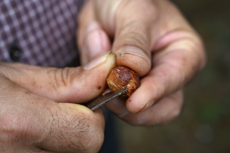 Günde 5 tane yapıp evini geçindiriyor: Tek derdi çırak bulamamak! Ağaç dallarından ürettiğine şaşıracaksınız - 3. Resim