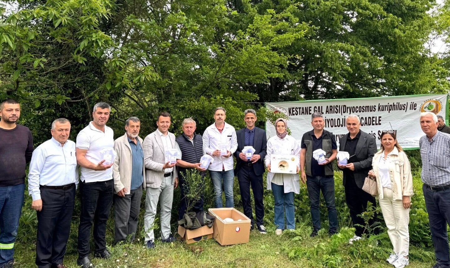 Bal değil gal arısı! Çiftçinin düşmanı böcekli mücadele başlatıldı - 1. Resim