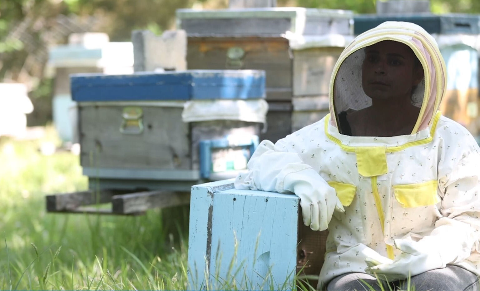 İşini bırakıp Kırklareli'ne göçtü! Şimdi  İşini bırakıp Kırklareli'ne göçtü! Şimdi
