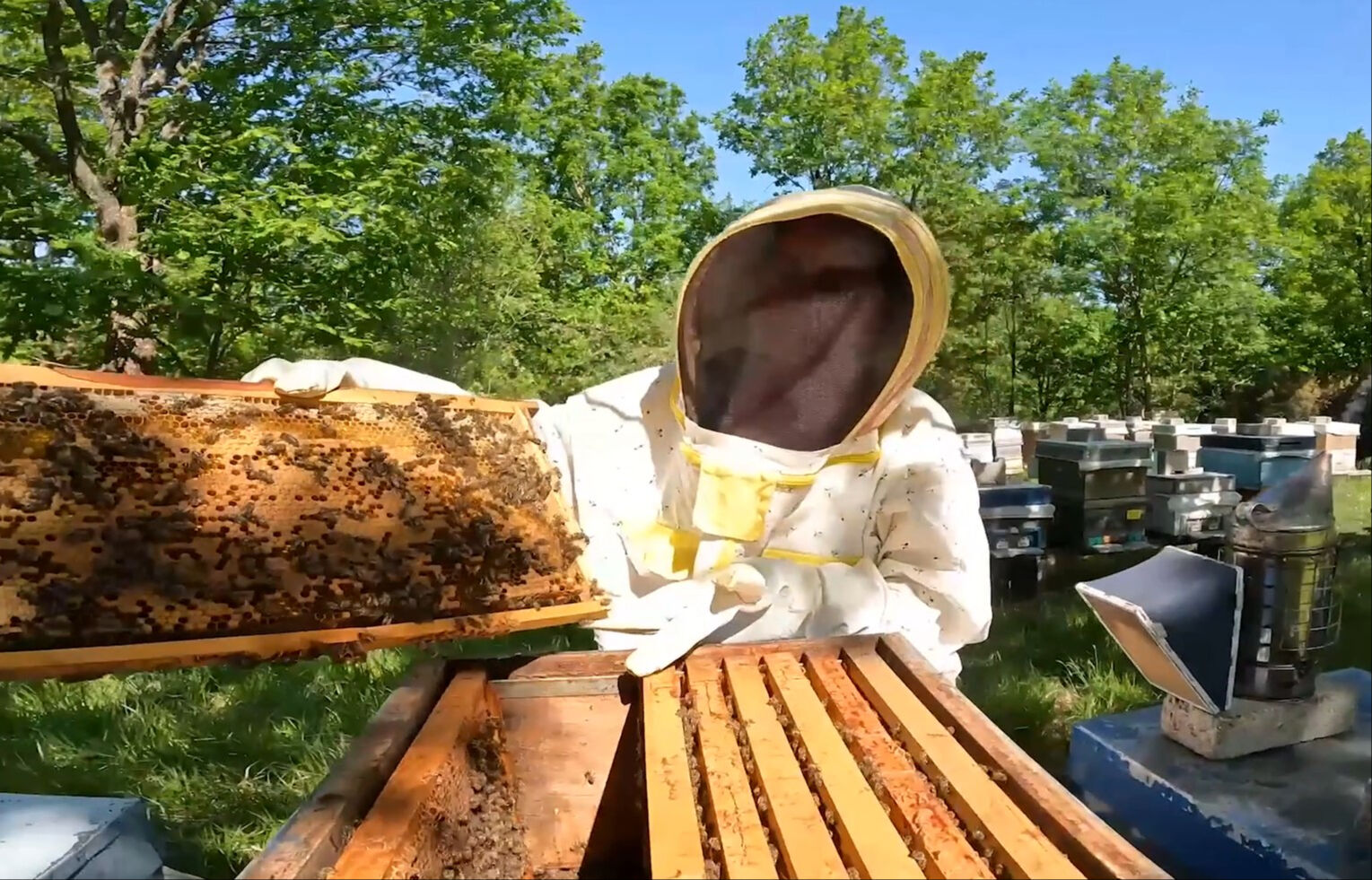 İşini bırakıp Kırklareli'ne göçtü! Şimdi  İşini bırakıp Kırklareli'ne göçtü! Şimdi