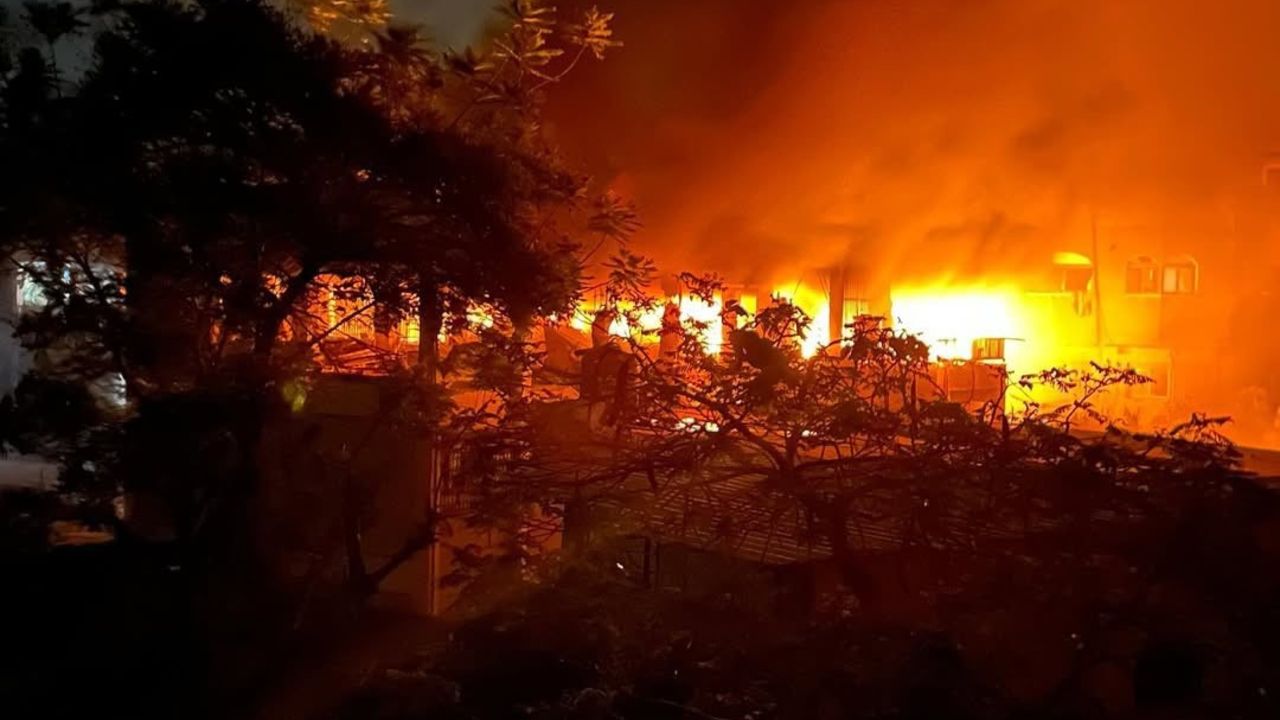 Dünya