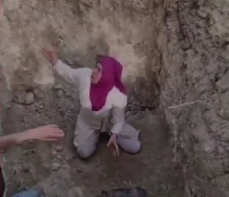 Ölü köpekleri mezardan çıkarmaya kalktılar! Tepki büyük, salgın hastalık alarmı verildi - 1. Resim