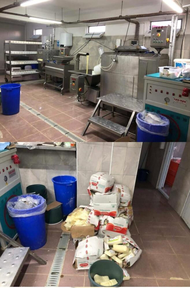 Sahte kaşar operasyonunda mide bulandıran tespit! Tonlarca ele geçirildi - 3. Resim