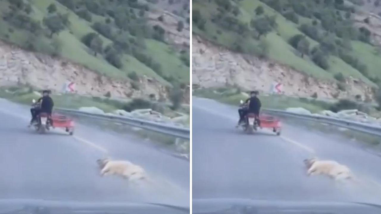 Tepki çeken görüntü! Telef olan köpeği motosikletle sürüklediler Tepki çeken görüntü! Telef olan köpeği motosikletle sürüklediler