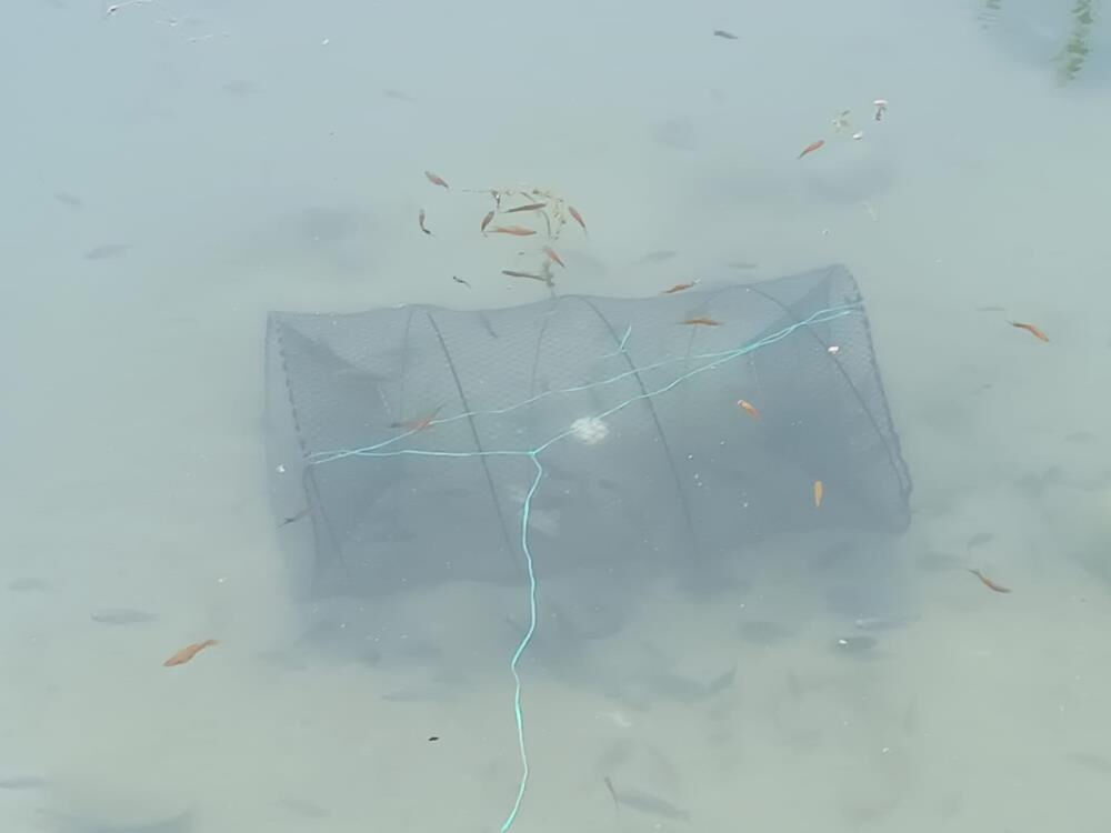 Vatandaşlar suçüstü yakaladı! Tarihi hamam kalıntıları arasında... - 1. Resim