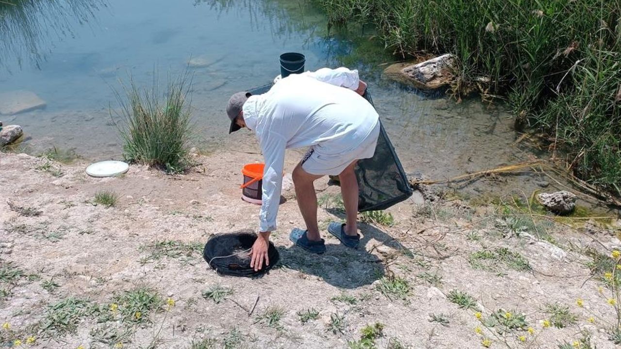 Vatandaşlar suçüstü yakaladı! Tarihi hamam kalıntıları arasında... Vatandaşlar suçüstü yakaladı! Tarihi hamam kalıntıları arasında...