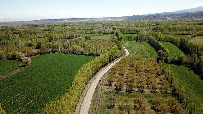 2B arazisi tapusu nasıl alınır? 2B arazide imar olur mu? - 1. Resim