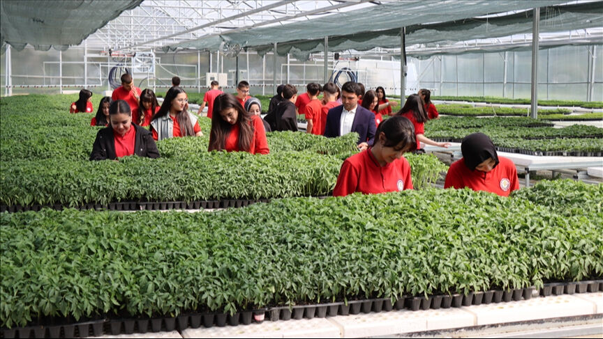 Genler tarımdan kaçıyor! Yüzde 5'e düştü, gıda güvenliği tehlikede - 1. Resim