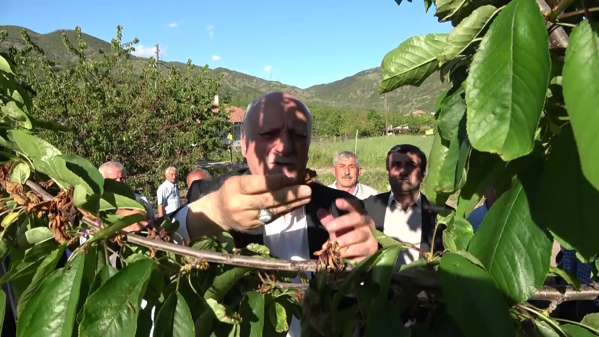 Genler tarımdan kaçıyor! Yüzde 5'e düştü, gıda güvenliği tehlikede - 2. Resim
