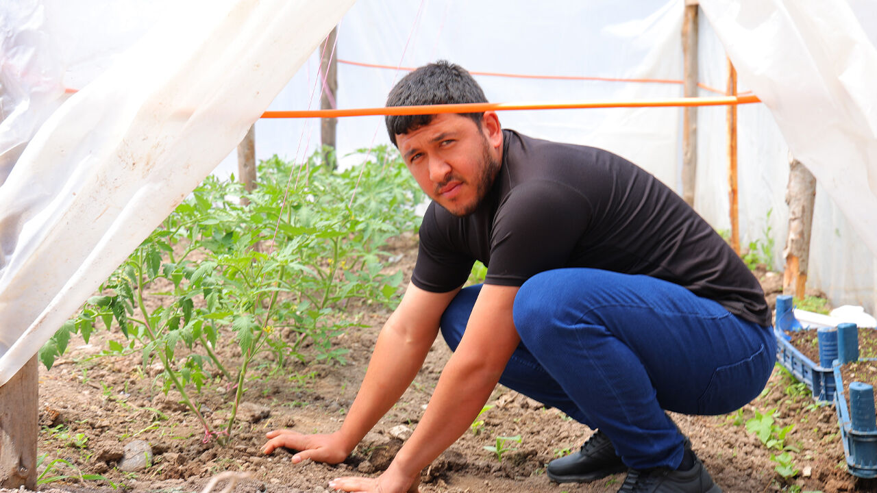 Her şey birkaç gecede değişti! Çiftçi uyudular, bambaşka bir meslekle uyandılar... En az 2 yıl sürecek - 3. Resim