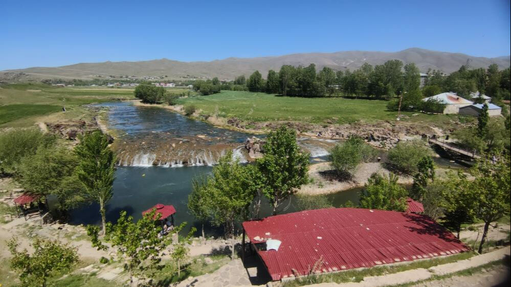 İnci kefalinin 23 kilometrelik zorlu yolculuğu! 