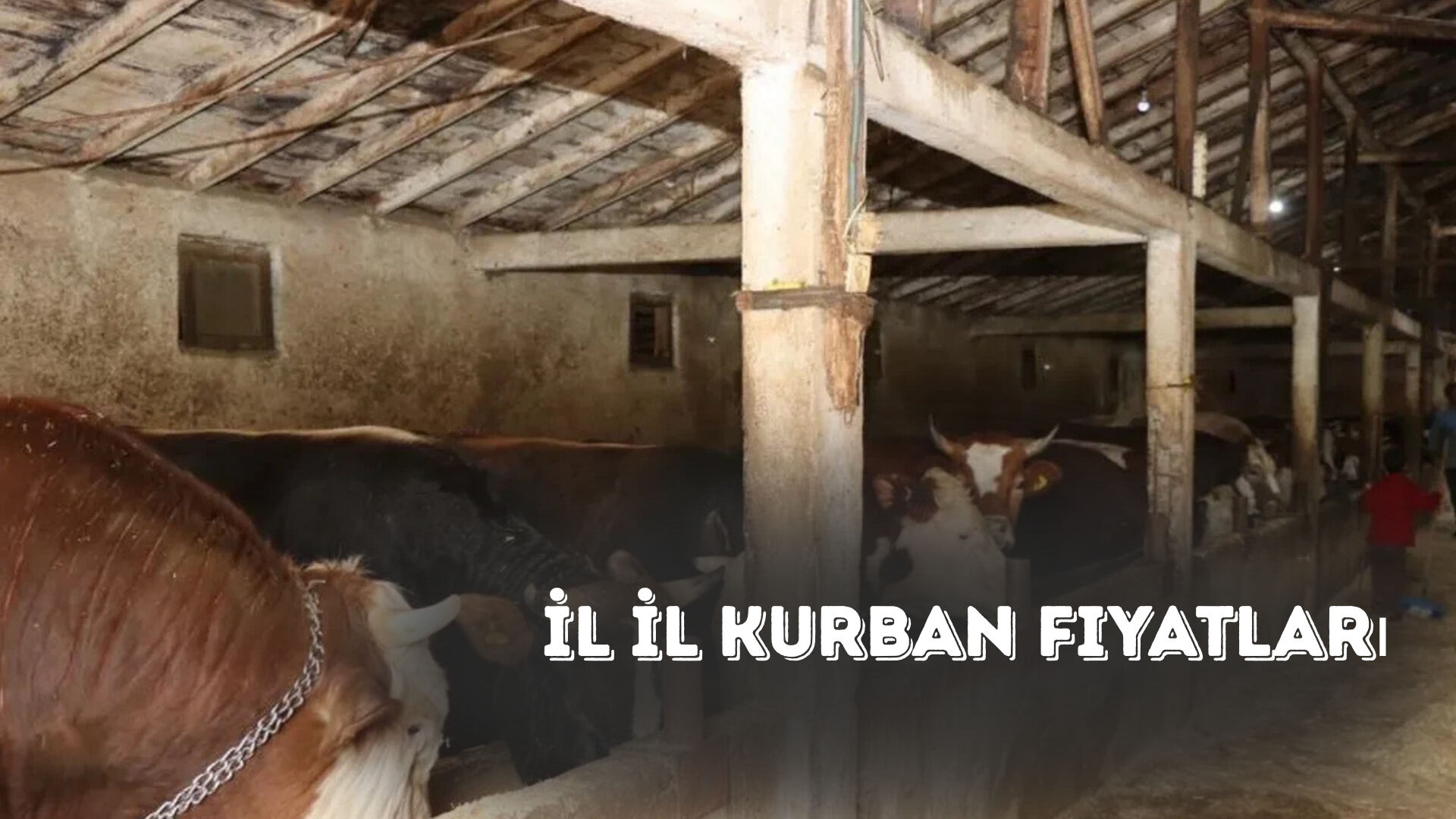 Kurbanlık fiyatları ne kadar? Pazarlarda yoğunluk devam ediyor - 2. Resim