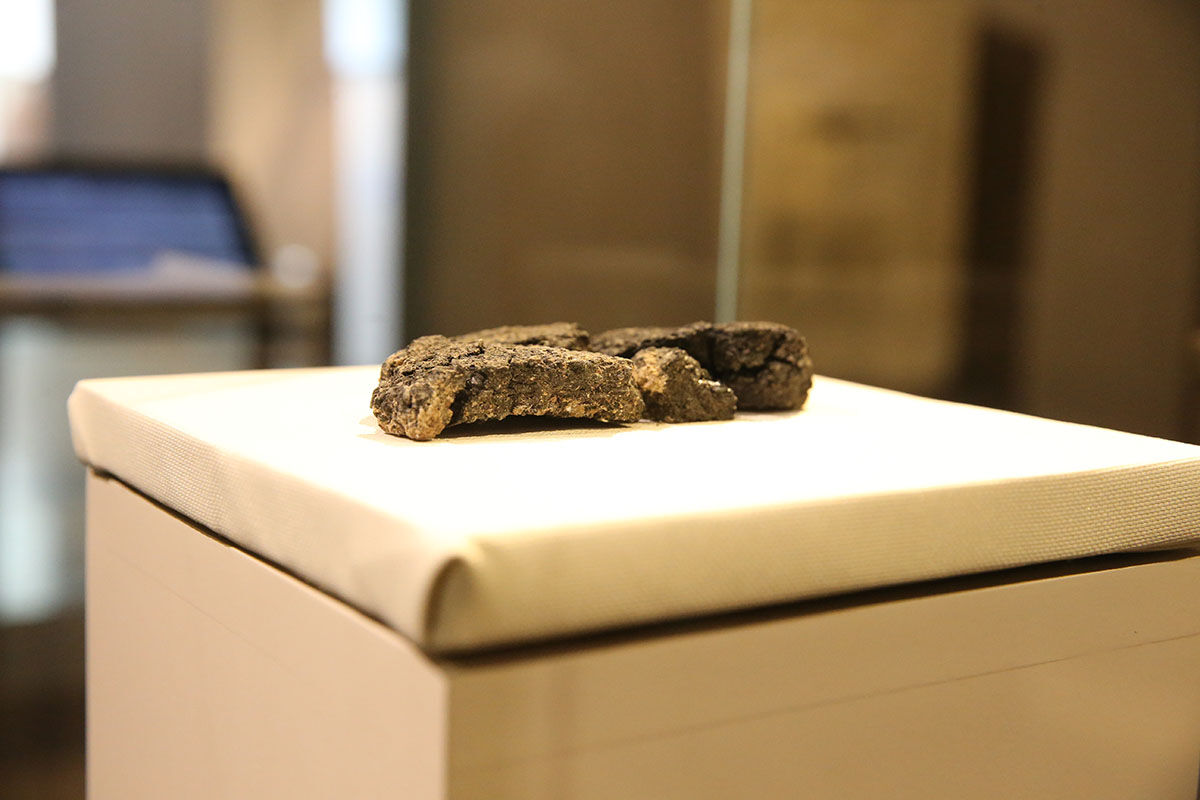 Tam 5 bin yaşında! Görüntüsü taşa benziyor, akademisyenler saatlerce bu ekmeği anlattı - 5. Resim