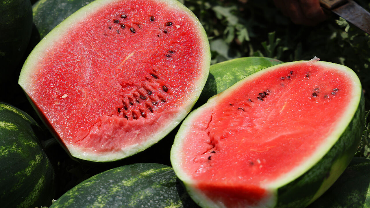 Türkiye'nin ihtiyacının yüzde 25'ini bu kent karşılıyor! Hasat başladı, tarlada kilosu 24 lira - 3. Resim