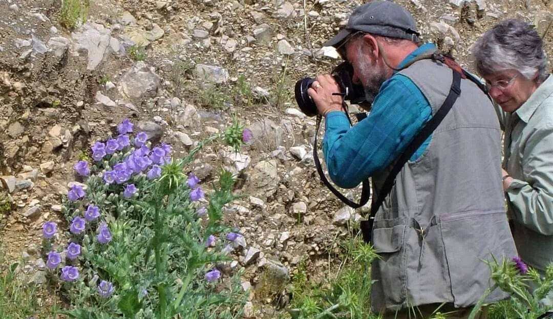 Tüylü Çan Çiçeği koparmak neden yasak, cezası nedir? Gözler koruma altına alınan bitkide - 2. Resim