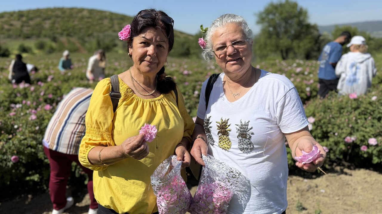 Yüzlerce ailenin geçim kaynağı! Dünyadaki üretimin yüzde 65'ini karşılıyorlar, ilk hasat coşkuyla başladı - 2. Resim