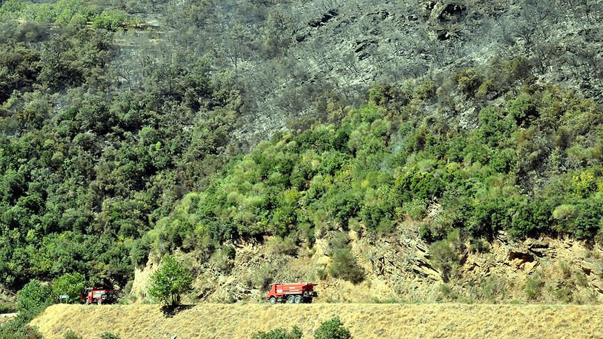 2B arazi düzenlemesi neleri kapsıyor? Kaçak yapılara yasallık kazandırılacak iddialarına yalanlama - 2. Resim