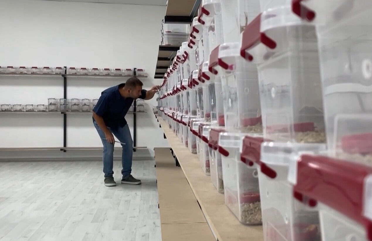 450 tanesinden ayda 1 gram çıkıyor! Aklına bile gelmezdi, üç ayda tamamladı - 1. Resim