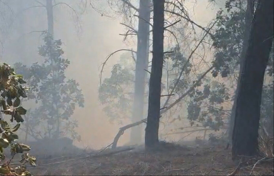 5 helikopter ve 110 personelle müdahale sürüyor! - 2. Resim