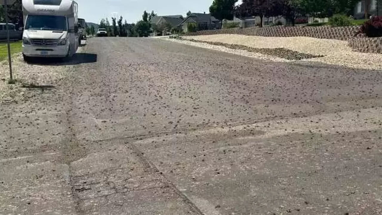 Bir kent felaketi yaşıyor! 'Kıyametin habercisi' diyerek paylaştılar - 1. Resim