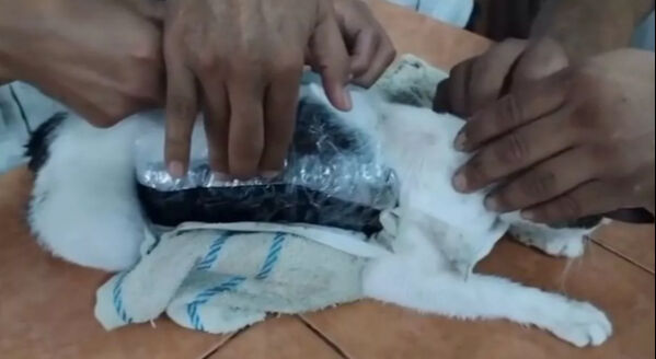 Hapishanede nokta operasyon! Uyuşturucu taşırken suçüstü yakalandı - 1. Resim