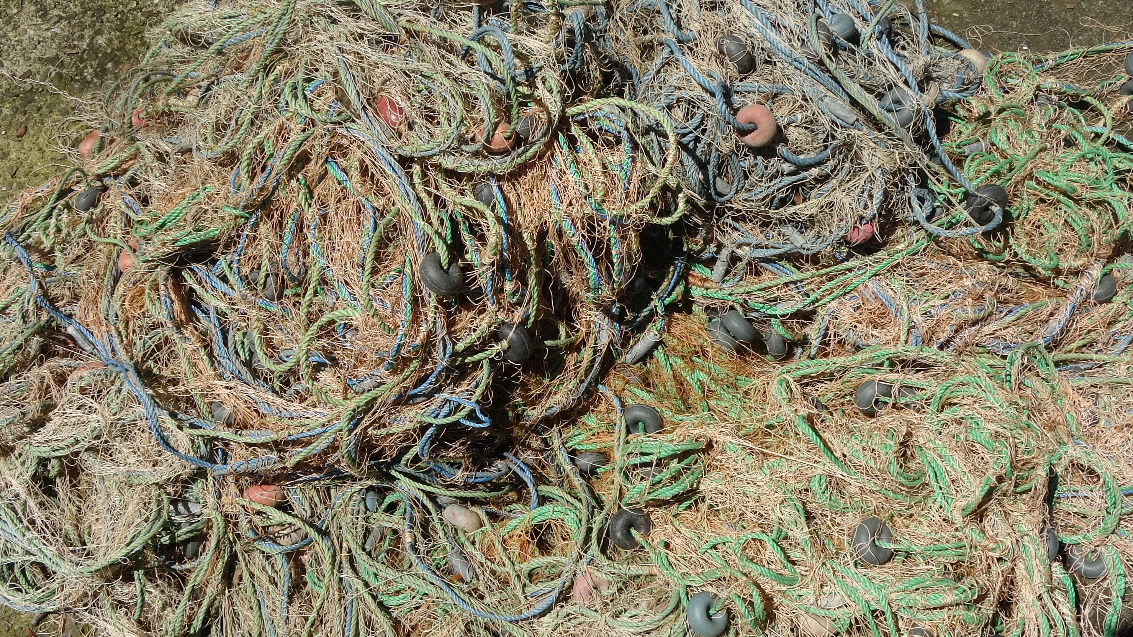 Karadeniz, 'hayalet' ağlarla çevrildi: Avrupa'nın en kirlilerinden... Tehlike su altı kamerasında - 1. Resim