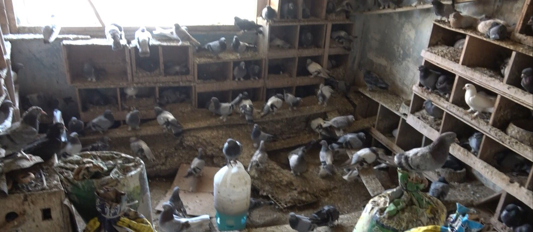 Kendini ateşe attı, sebebini öğrenen ekipler duygulandı! Balıkesir'deki yangında detaylar ortaya çıktı - 1. Resim