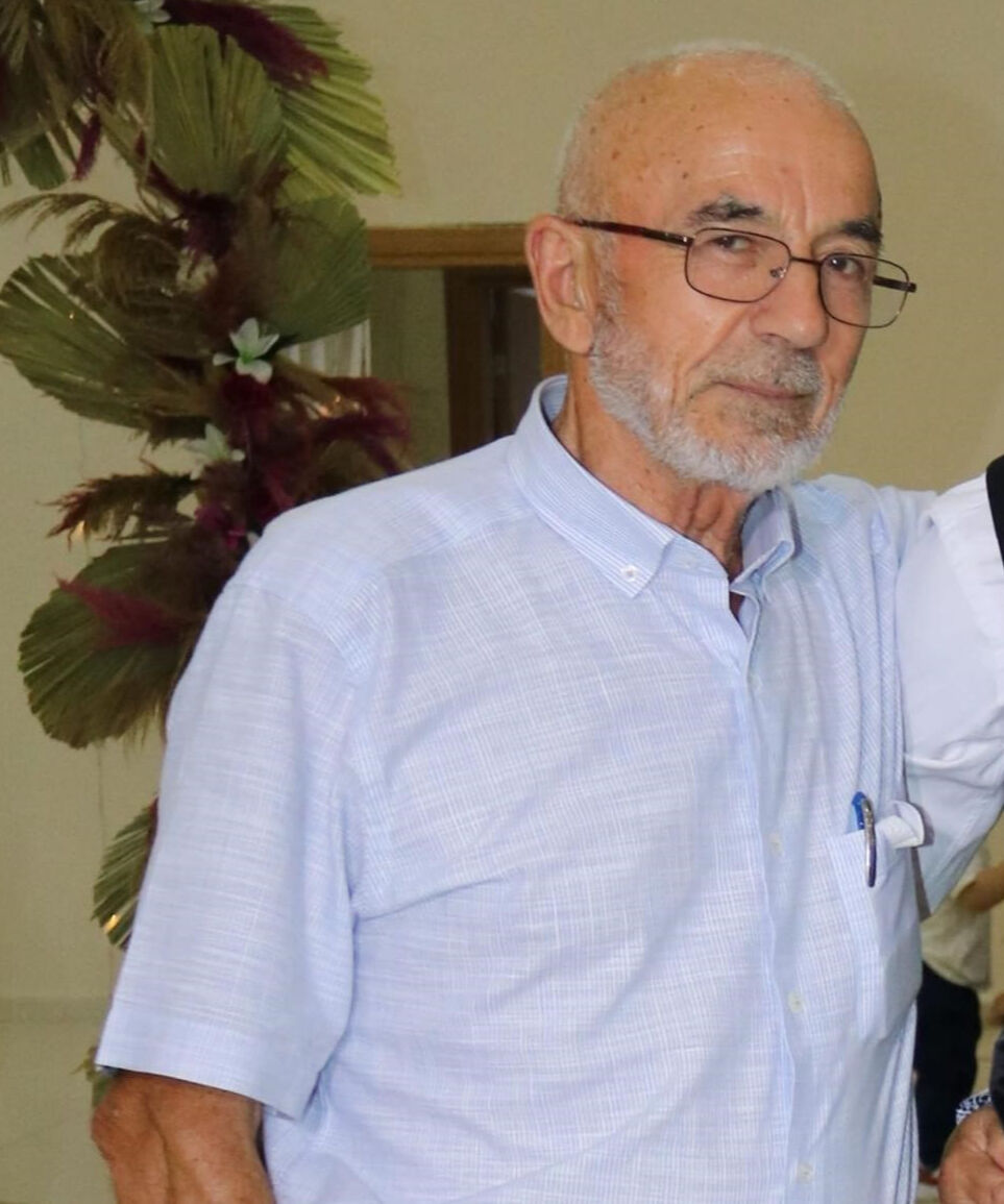 Kiraz toplamak için ağaca çıktı, canından oldu - 1. Resim