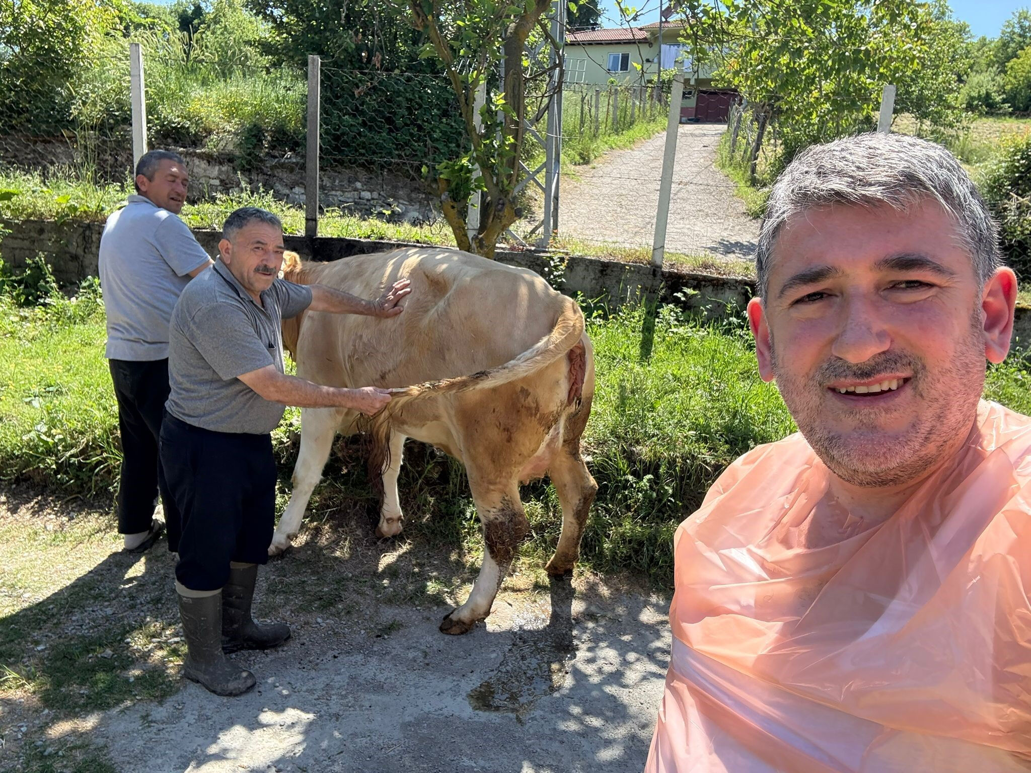 Yüz binde bir görülen olay Bartınlı çiftçiyi buldu! Ne yapacaklarını bilemediler, veteriner bile şaştı kaldı - 1. Resim