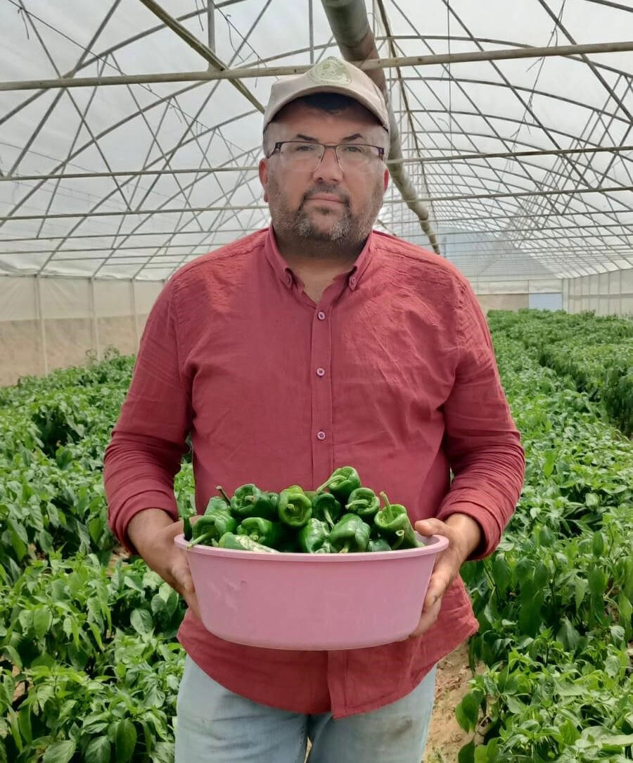 150 yıldır ata tohumuyla yetiştiriliyor! Kilosu 250 TL'den satışa &ccedil;ıktı - 2. Resim