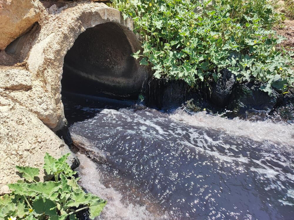 Ceyhan Nehri kirden köpürdü, mahalleli kötü kokudan şikayetçi - 4. Resim