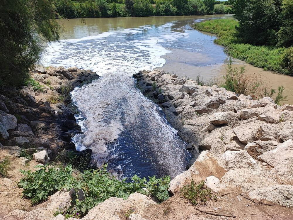 Ceyhan Nehri kirden köpürdü, mahalleli kötü kokudan şikayetçi - 3. Resim