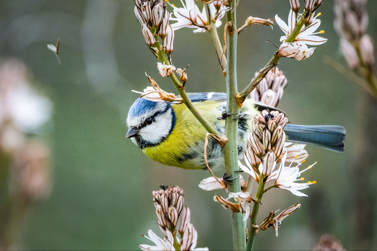 Keşfedilmeyi bekleyen longoz görenleri hayran bırakıyor! Herkes Yaren'i biliyor ama fotoğraf tutkunları buraya gidiyor - 2. Resim
