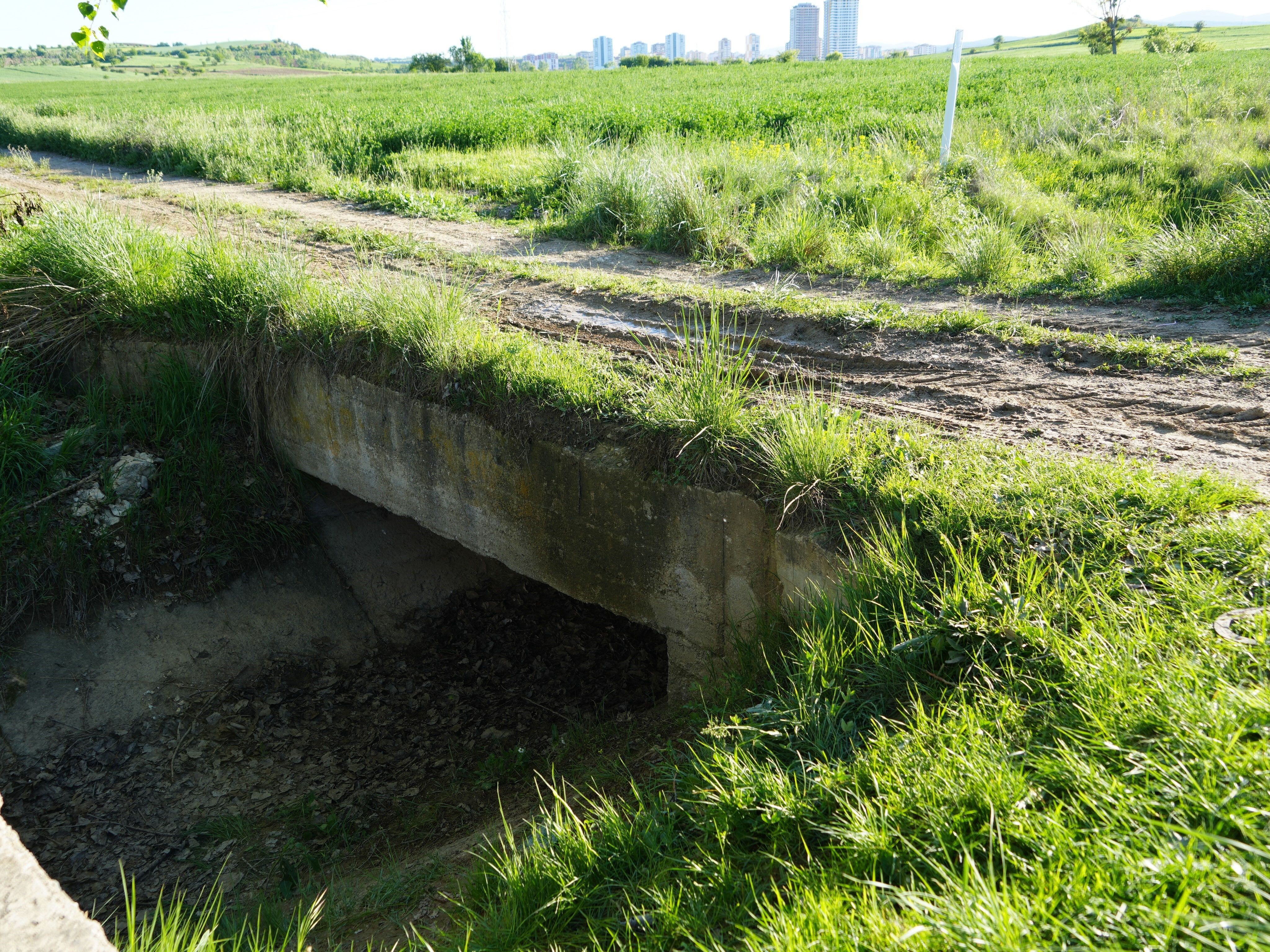 Kesik baş cinayetinde kan donduran dilekçe: Her detayı mide bulandırdı... Şerife azmettirdi, ben yaptım - 5. Resim
