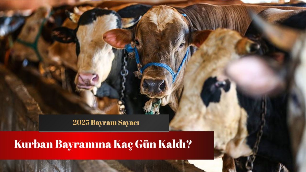 Kurban Bayramına kaç gün kaldı? 2025 bayram tatili sayacı Kurban Bayramına kaç gün kaldı? 2025 bayram tatili sayacı