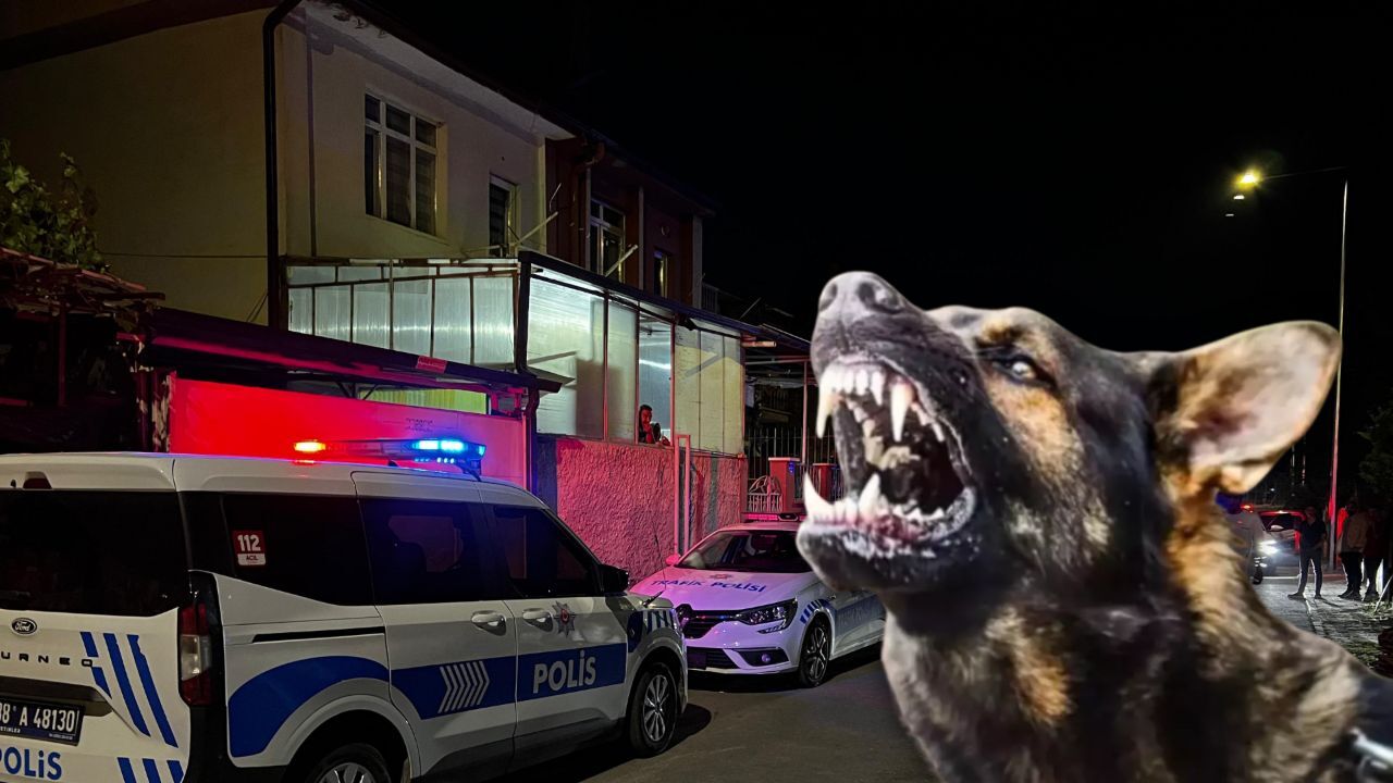 Bu sefer sahipli köpek saldırdı! 6 yaşındaki çocuk kabusu yaşadı Bu sefer sahipli köpek saldırdı! 6 yaşındaki çocuk kabusu yaşadı