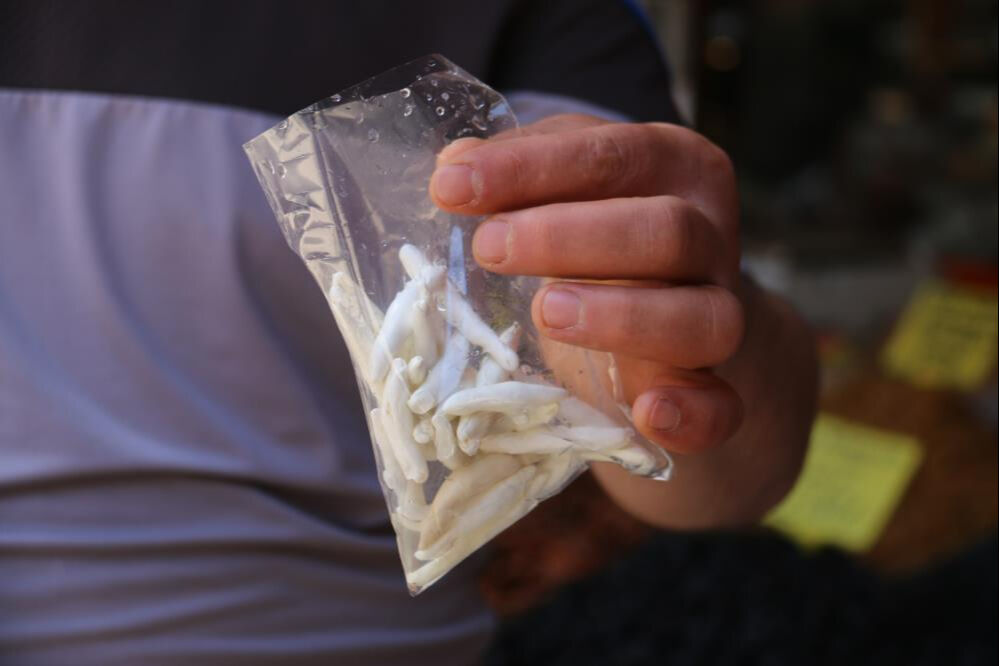 Faydaları saymakla bitmiyor, fiyatı yarım altınla yarışıyor! Dünyanın en pahalı sakızı Sivas'ta yetişiyor - 2. Resim