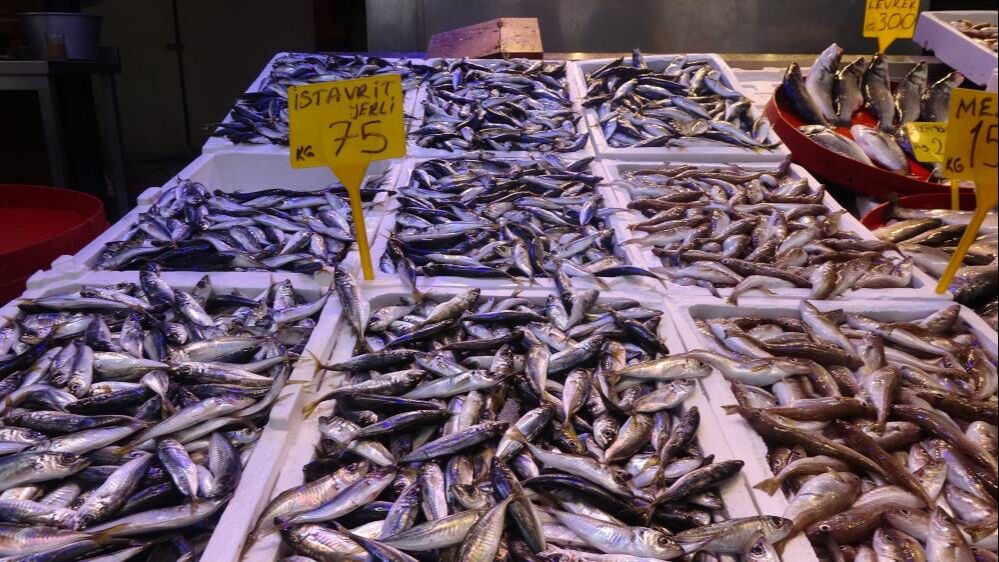 Karadeniz alarm veriyor! Balık stokları azaldı, iki sebebi var... - 2. Resim