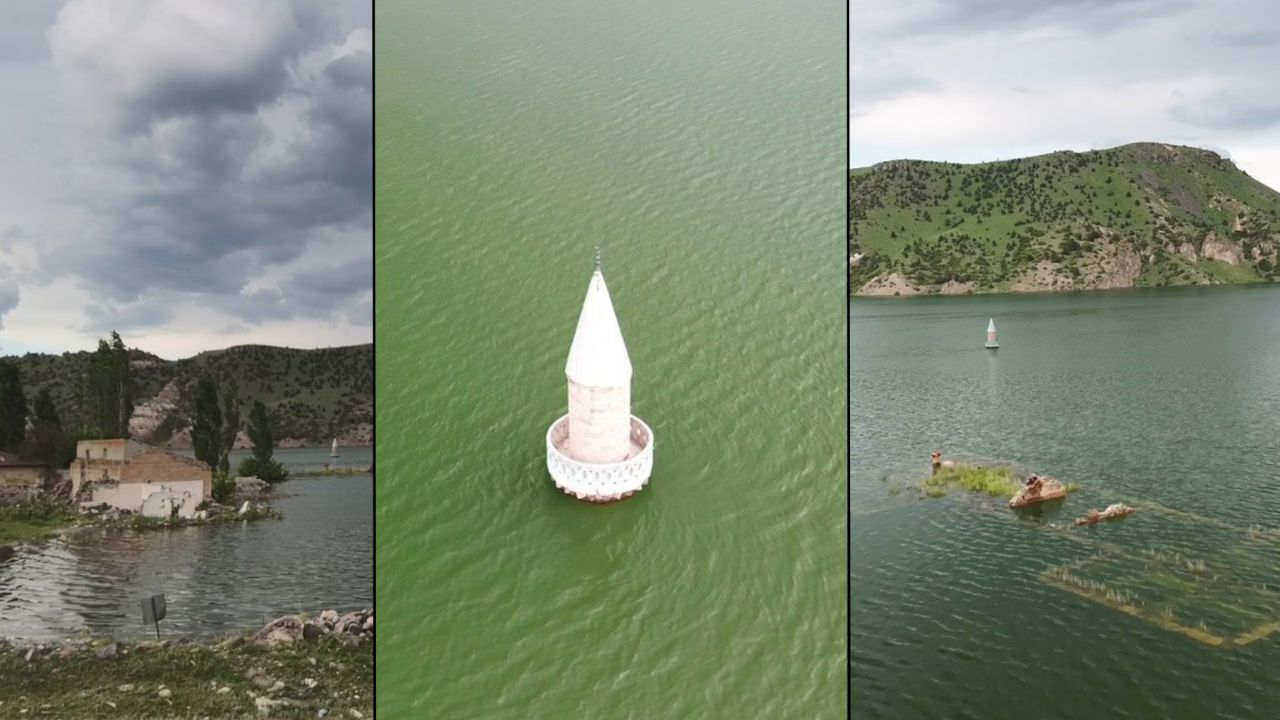 Yaşam