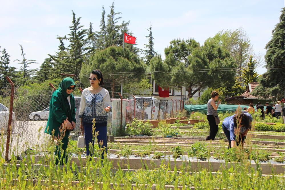 Senede sadece iki hafta çiçek açıyor! 130 yıl önce Avrupa'ya götürüldü, yeniden anayurdunda - 2. Resim