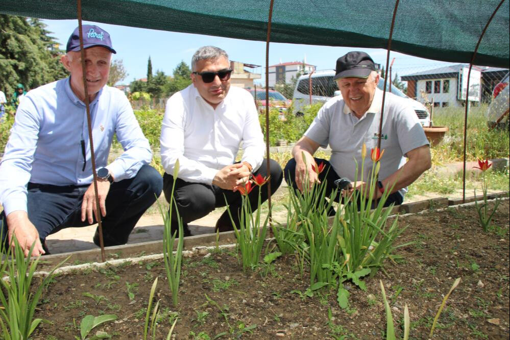 Senede sadece iki hafta çiçek açıyor! 130 yıl önce Avrupa'ya götürüldü, yeniden anayurdunda - 1. Resim