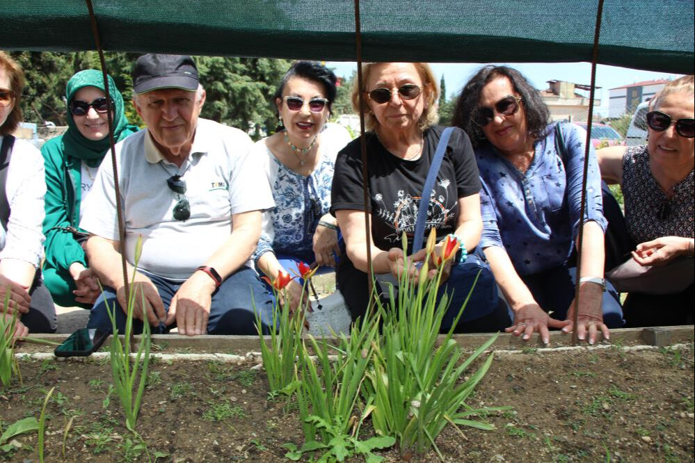 Senede sadece iki hafta çiçek açıyor! 130 yıl önce Avrupa'ya götürüldü, yeniden anayurdunda - 3. Resim
