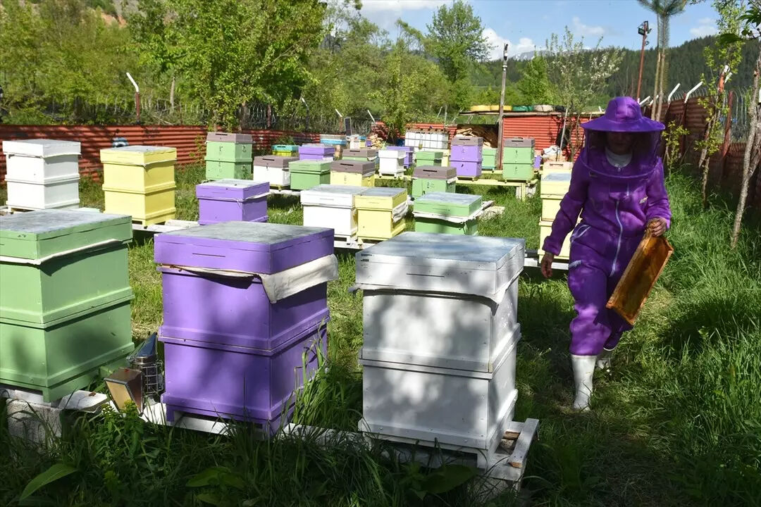 Bu işe 7 yaşındaki oğlu sayesinde başladı! 2 idi, 70’e çıkardı: Kazancını katladı - 3. Resim