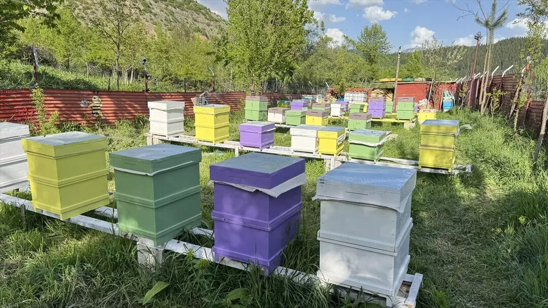 Bu işe 7 yaşındaki oğlu sayesinde başladı! 2 idi, 70’e çıkardı: Kazancını katladı - 5. Resim