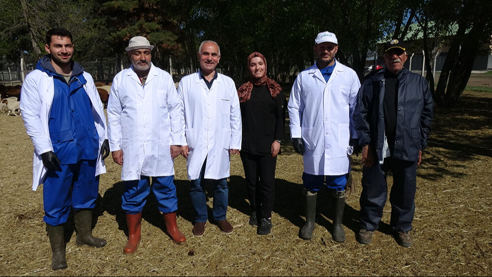 Üniversiteli kurbanlıklar kapış kapış satıldı! Canlı kilosu 300 lira... - 2. Resim