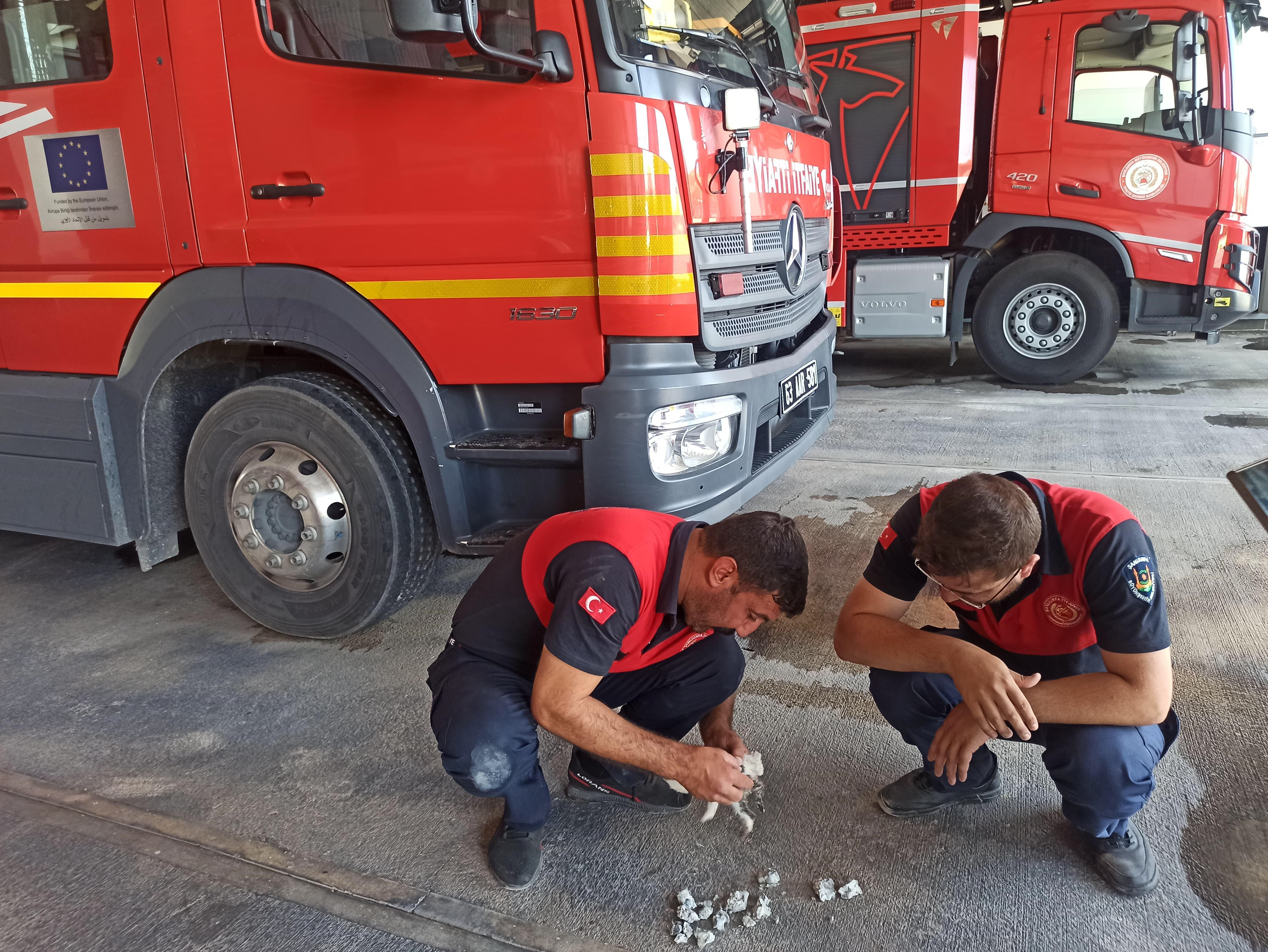 Yavru kedinin &uuml;zerine beton d&ouml;kt&uuml;ler! İnşaatta akılalmaz olay - 3. Resim