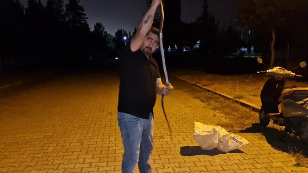 1,5 metrelik yılan çamaşır makinesine girdi! 'Yılanlara fısıldayan adam' cesaretiyle sınırları zorladı - 1. Resim