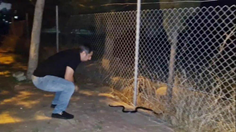 1,5 metrelik yılan çamaşır makinesine girdi! 'Yılanlara fısıldayan adam' cesaretiyle sınırları zorladı - 2. Resim